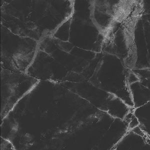 Meet your Posher, Alfonzo